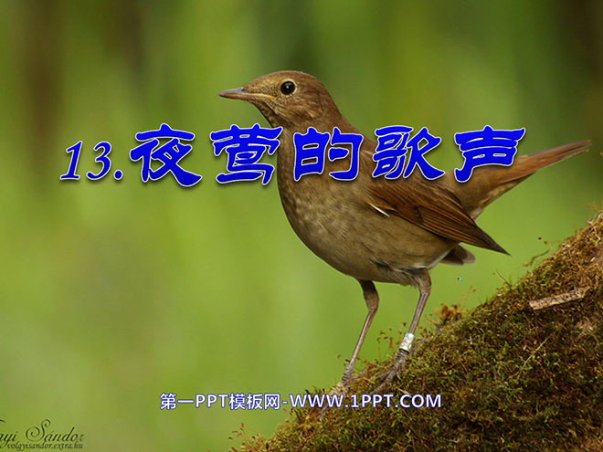 《夜莺的歌声》PPT课件3