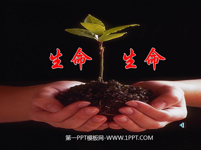 《生命生命》PPT课件8