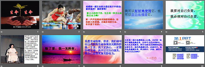 《生命生命》PPT课件8