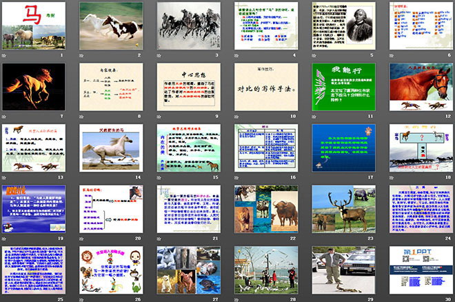 《马》PPT课件4