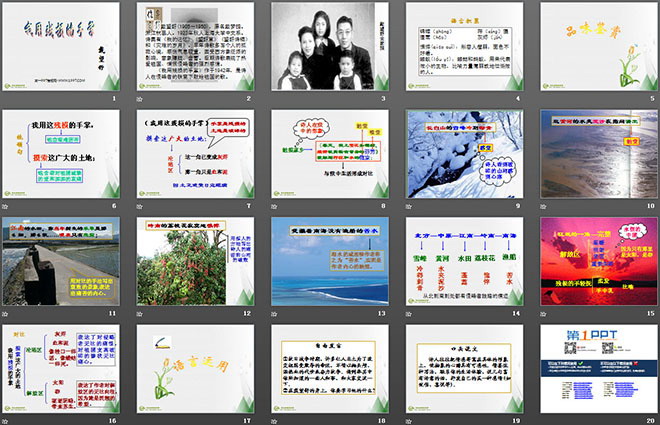 《我用残损的手掌》PPT课件2