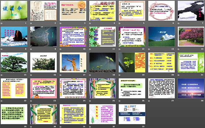 《谈生命》PPT课件2