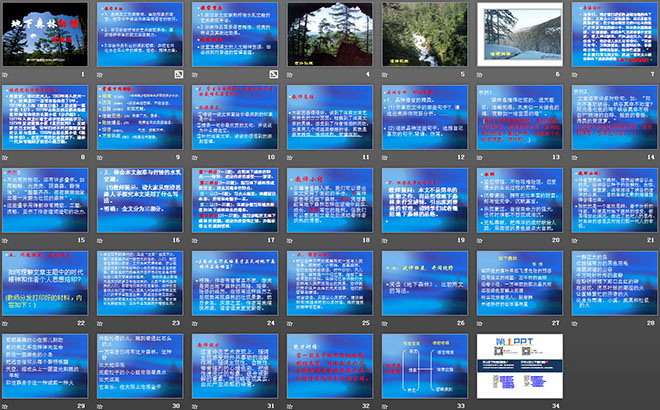《地下森林断想》PPT课件