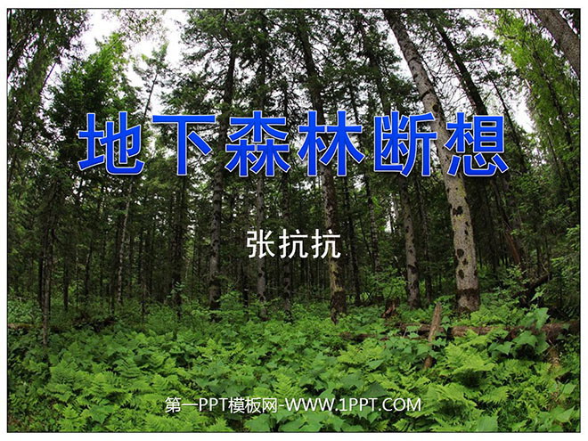 《地下森林断想》PPT课件2