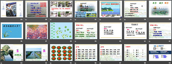 《水乡歌》PPT课件3