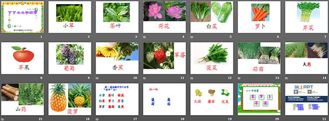 《丁丁冬冬学识字》PPT课件