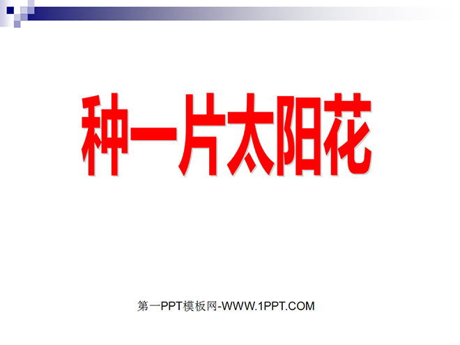 《种一片太阳花》PPT课件