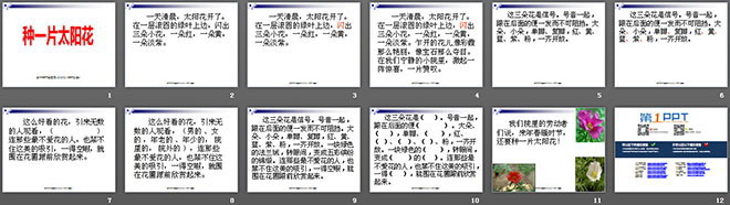 《种一片太阳花》PPT课件