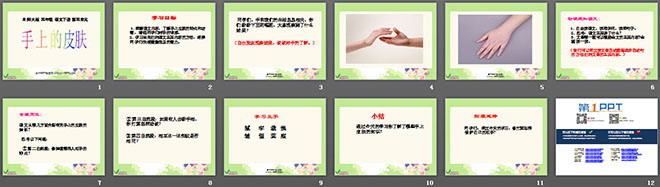 《手上的皮肤》PPT课件
