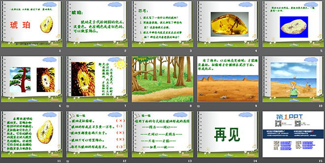 《琥珀》PPT课件