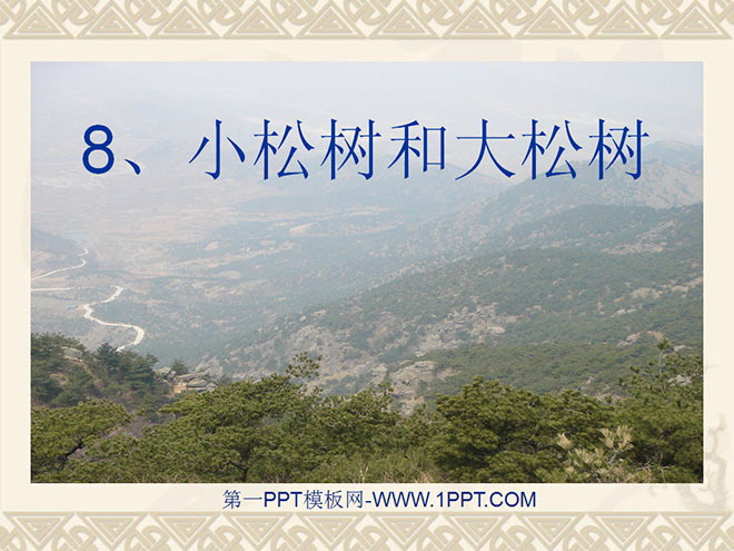 《小松树和大松树》PPT课件2