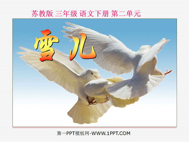 《雪儿》PPT课件4