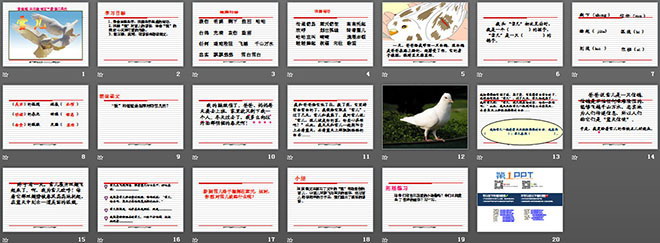 《雪儿》PPT课件4