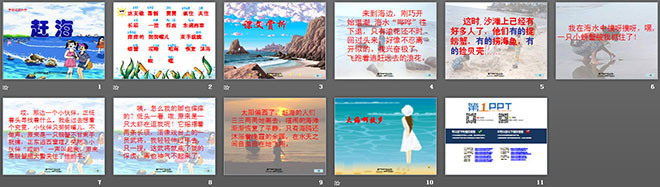 《赶海》PPT课件2