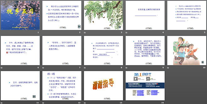 《槐乡五月》PPT课件2