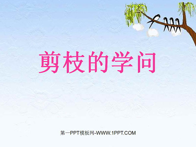 《剪枝的学问》PPT课件2