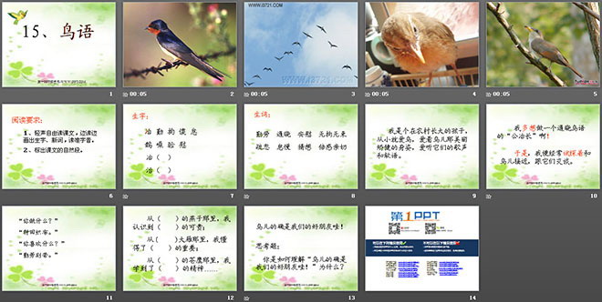 《鸟语》PPT课件