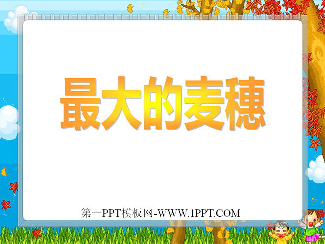 《最大的麦穗》PPT课件