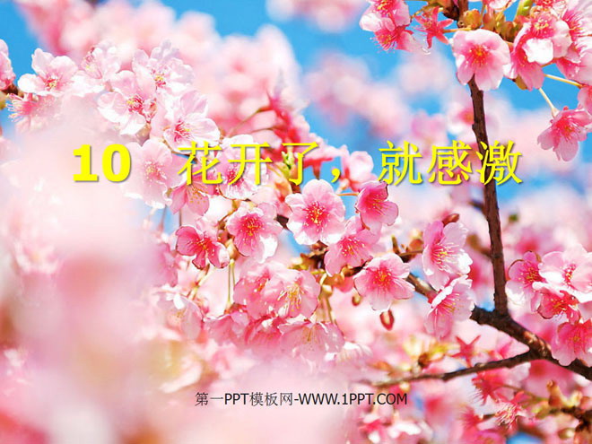 《花开了，就感激》PPT课件