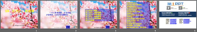 《花开了，就感激》PPT课件