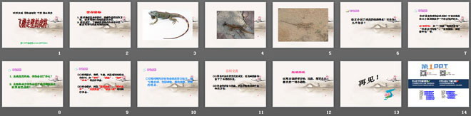《飞檐走壁的虎将》PPT课件