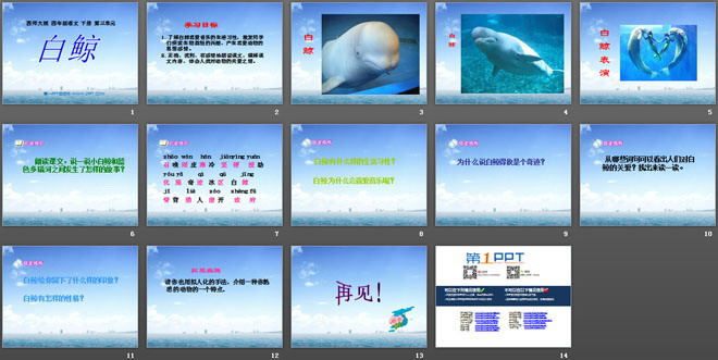 《白鲸》PPT课件2