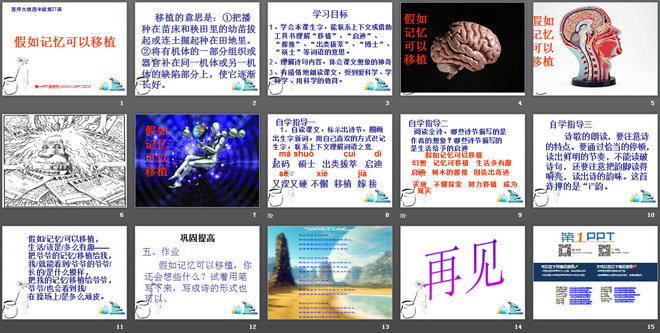 《假如记忆可以移植》PPT课件3