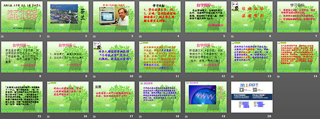 《迟到的奖赏》PPT课件2
