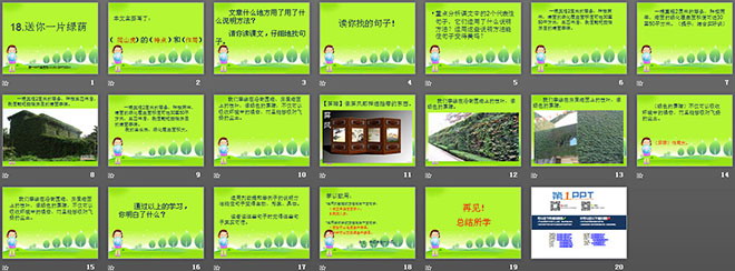 《送你一片绿荫》PPT课件5