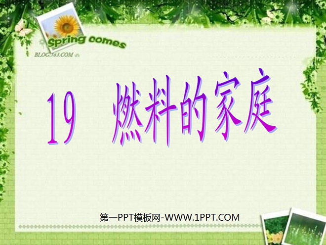 《燃料的家庭》PPT课件2