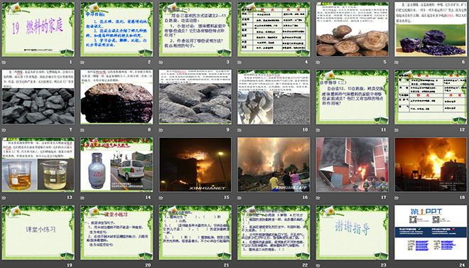 《燃料的家庭》PPT课件2
