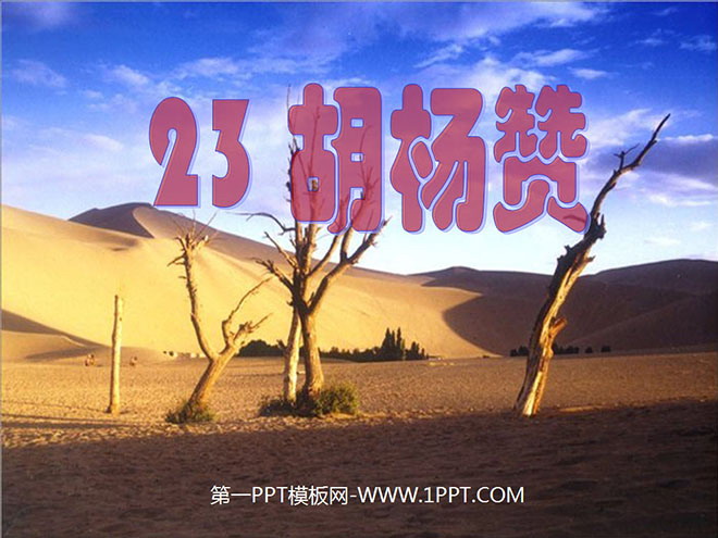 《胡杨赞》PPT课件3