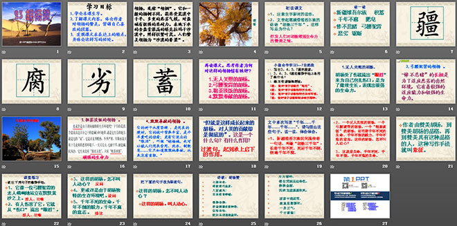 《胡杨赞》PPT课件3