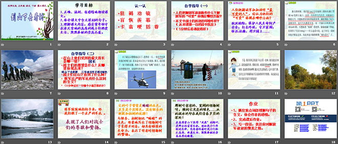 《到山下去看树》PPT课件3