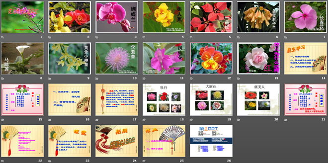 《花儿为什么这样红》PPT课件