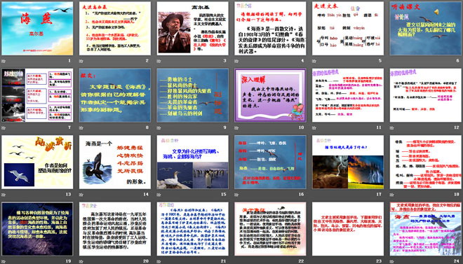 《海燕》PPT课件5