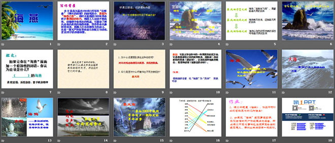 《海燕》PPT课件6