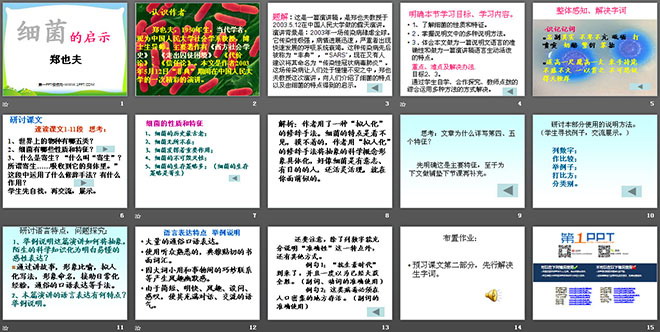 《细菌的启示》PPT课件