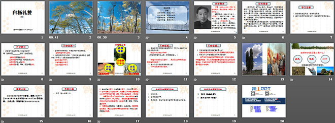 《白杨礼赞》PPT课件2