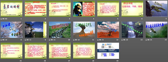《悬岩边的树》PPT课件