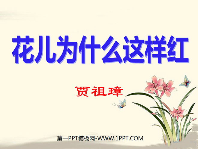 《花儿为什么这样红》PPT课件5