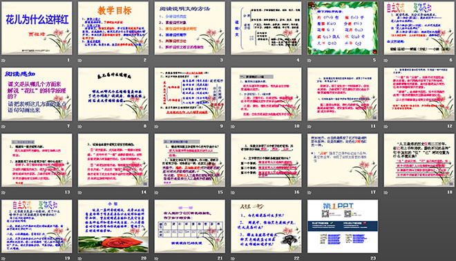 《花儿为什么这样红》PPT课件5