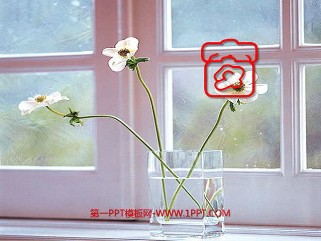 《窗》PPT课件