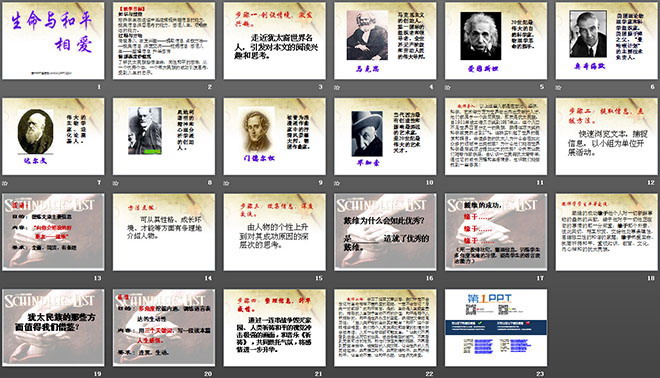 《生命与和平相爱》PPT课件2