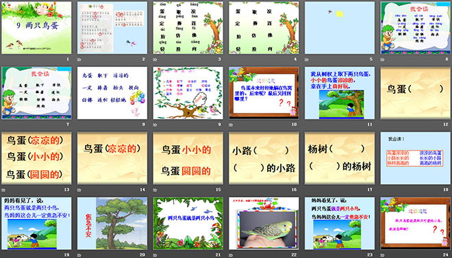 《两只鸟蛋》PPT课件7