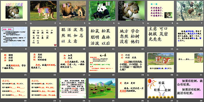 《松鼠和松果》PPT课件4