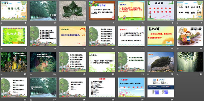 《杨树之歌》PPT课件4