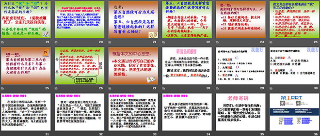 《养花》PPT课件4