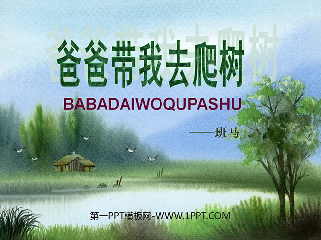 《爸爸带我去爬树》PPT课件2