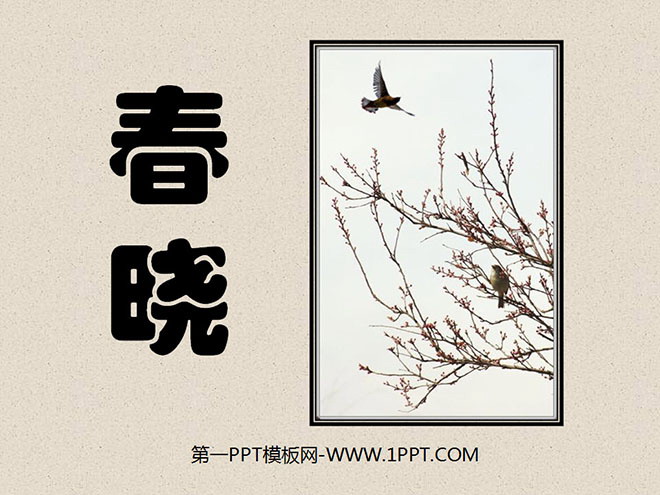 《春晓》PPT课件5